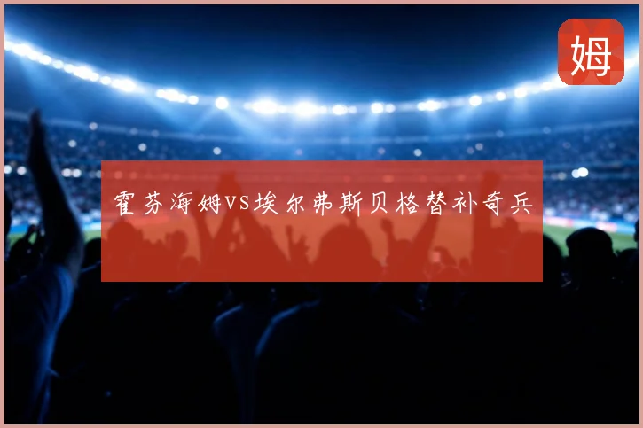 霍芬海姆vs埃尔弗斯贝格替补奇兵